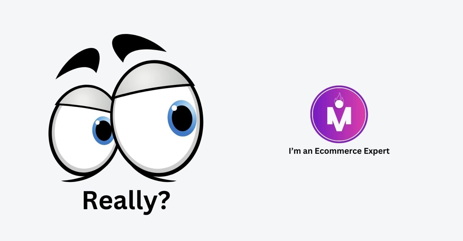 mrwebapp-ecommerce-expert